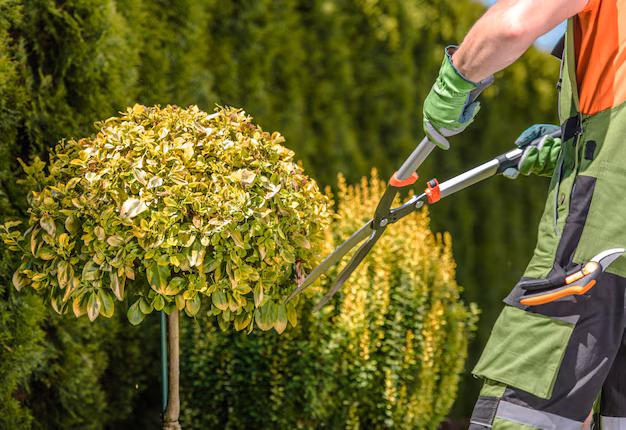 faconnage-arbres-jardin-par-jardinier-professionnel-caucasien_1426-5764