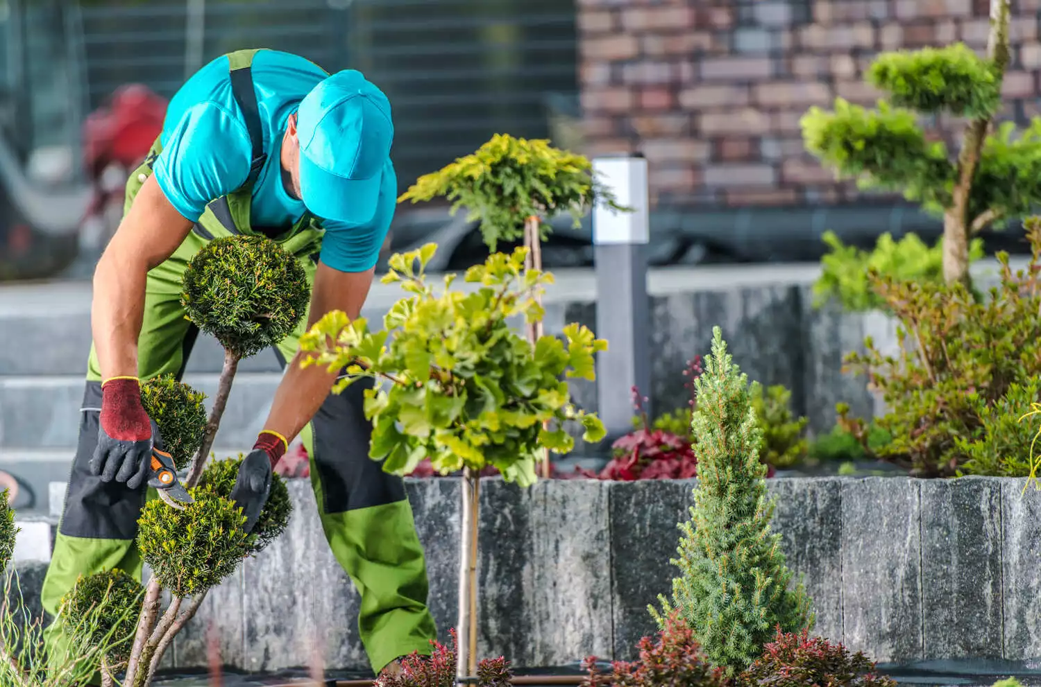 garden-maintenance-by-professional-gardener-2021-08-29-16-57-17-utc-1